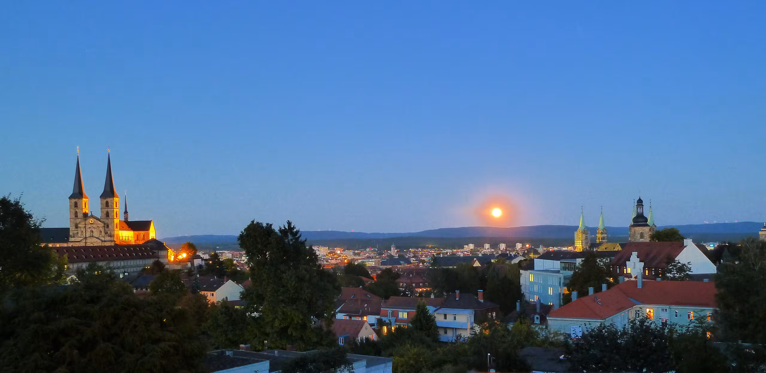Blick über die Dächer Bambergs 1